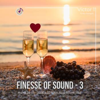 Finese of Sound 3 – Bartosz Domagała na CD